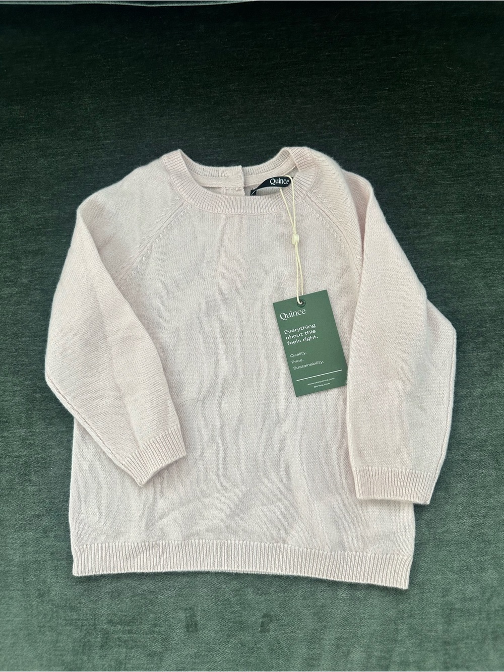 NWT Quince Cashmere Sweater